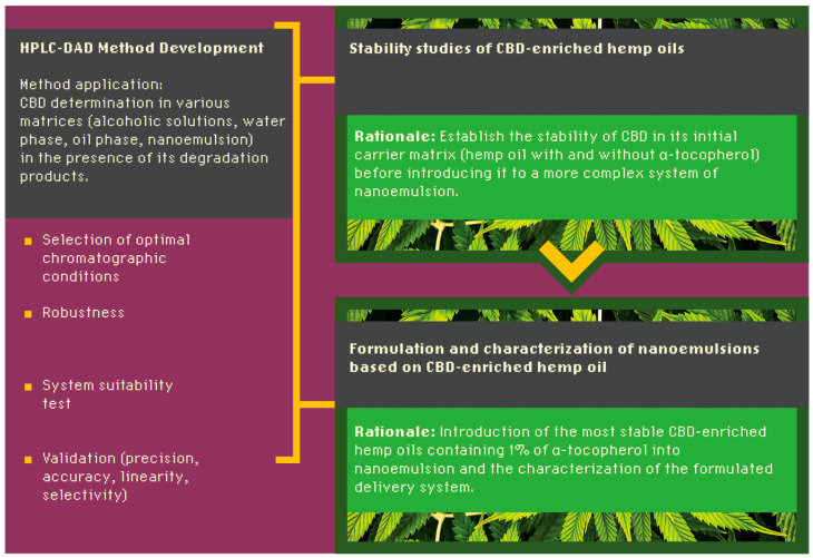 Scheme of study design (CBD–cannabidiol).