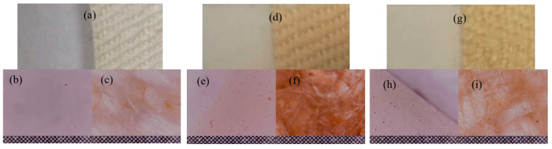 Image of the obtained thin films on the glass and hemp fabric supports under the DPL deposition process applied to the hemp seeds (a) and the optical microscope images of the thin films on glass (b) and on the hemp fabric as deposition support (c); image of the thin film resulted from enhanced ablation and deposition by including the stainless steel ring edge in the DPL process (HS-DPL/glass and HS-DPL/hemp fabric) (d) and the optical microscope images with 0.1 × 0.1 grid of the resulted thin films after enhancing the ablation with stainless steel on glass: HS-DPL/glass (e) and on the hemp fabric as deposition support: HS-DPL/hemp fabric (f); image of the thin film resulted from enhanced ablation and deposition by adding turmeric powder in the hemp seed target (HST-DPL/glass and HST-DPL/hemp fabric) (g) and the optical microscope images with the 0.1 × 0.1 grid of the resulted thin films after enhancing the ablation with turmeric on glass: HST-DPL/glass (h) and on hemp fabric as deposition support: HST-DPL/hemp fabric (i).