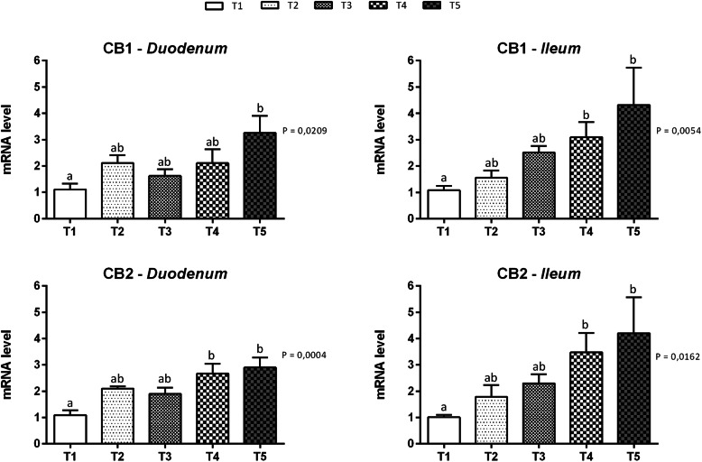 Gene expression of cannabinoid receptors in duodenal and ileal mucosa of piglets. Data are expressed as means (n = 8) and S.E.M. represented by vertical bars. a, b Values with different superscripts differ significantly at P < 0.05. T1 = basal diet; T2 = basal diet + 25.5 mg of thymol/kg feed; T3 = basal diet + 51 mg of thymol/kg feed; T4 = basal diet + 153 mg of thymol/kg feed; T5 = basal diet + 510 mg of thymol/kg feed (Vetagro SpA, Reggio Emilia, Italy). A modification of the 2–ΔΔCT method was used to analyze the relative expression (fold changes), calculated relative to the control group (control; Livak and Schmittgen, 2001 [21]). CB1 = cannabinoid receptor 1; CB2 = cannabinoid receptor 2
