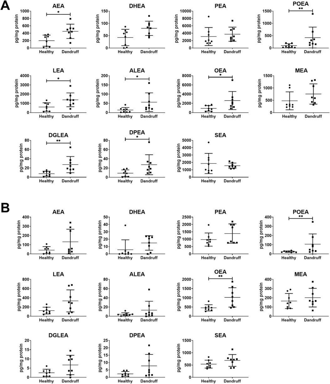 Dandruff‐affected scalp skin expresses increased levels of N‐acyl ethanolamines in the epidermis (A) and dermis (B). Endocannabinoids and related NAE were measured in dermis and epidermis using UPLC/ESI‐MS/MS. Data are expressed as mean ± SD, n = 8, *p < 0.05, **p < 0.01.