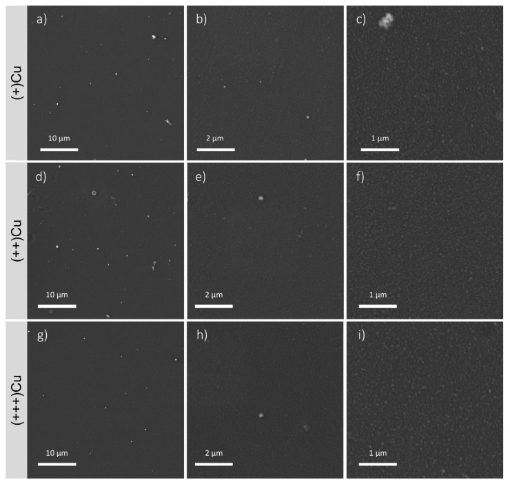 FEG-SEM images of the coatings in the different areas of the CBD at different magnifications (5000×, 20,000×, 50,000×): (a–c) (+)Cu, (d–f) (++)Cu, (g–i) (+++)Cu. In the Figures at higher magnifications (50,000×, (c,f,i)), the presence of homogeneous nanosized aggregates is clearly visible.