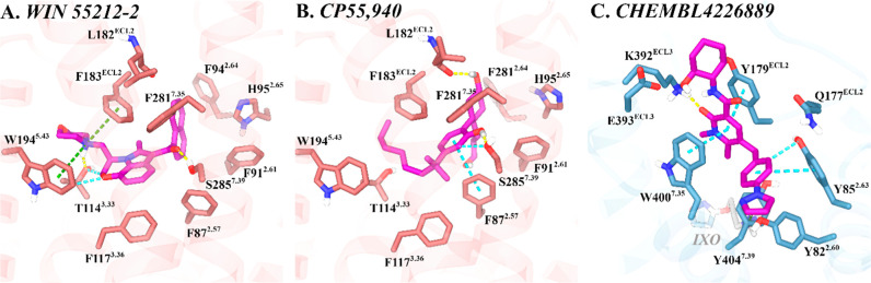 CB2R orthosteric binding site and M1R allosteric binding site. (A) WIN 55212–2 and key binding residues in CB2R (PDB ID: 6PT0). (B) CP 55,940 and key binding residues in CB2R (PDB ID: 8GUR). (C) CHEMBL4226889 and key binding residues in the proposed M1R allosteric site in the presence of the orthosteric agonist Iperoxo (IXO) (PDB ID: 6OIJ). CB2R and M1R are shown as rose and sky-blue ribbons, respectively. Key ligand-binding residues are displayed as dark rose and dark sky-blue sticks, respectively. Ligands are represented as magenta sticks within their respective binding sites. Hydrogen bonds are indicated with yellow dashed lines, π–π-stacking interactions with cyan dashed lines, aromatic hydrogen bonds with light cyan dashed lines, and π–cation interactions with green dashed lines.