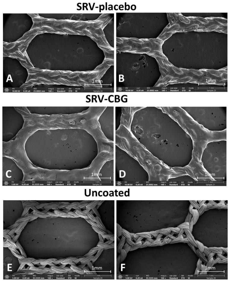 HR-SEM images of SRV-placebo-coated meshes at ×100 (A,B) magnification. HR-SEM images of SRV-CBG-coated meshes at ×100 (C,D) magnification. HR-SEM images of uncoated meshes at ×100 (E,F) magnification.