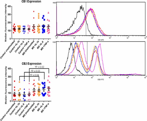 CB1 and CB2 expression, represented as median fluorescence intensity (left panel) in PBMC from 12 healthy controls and 12 MS patients under the specified stimulation conditions. Data are shown for lymphocyte/monocyte‐gated cells. The right panel is a representative histogram of CB 1 and CB 2 expression in an MS patient's PBMCs in different stimulation conditions. Colour legend, Black: Isotype Control; Red: Unstimulated; orange: +IL‐1β; blue: +IL‐6; pink: +TNF‐α. Results show a statistically significant increase in CB 2 expression between controls and MS patients after stimulation with IL‐1β, IL‐6, and TNF‐α.