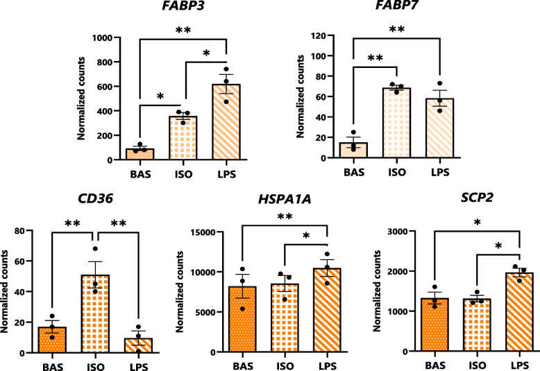 Transcription of FFA-, eCB-, and NAE-transporting genes is altered in dairy cows’ adipocytes upon induction of lipolysis. Bar graphs of DESeq2-normalized gene counts expressed by cultured bovine adipocytes (as determined by bulk RNA-seq analysis) following 7 h of exposure to BAS (untreated), isoproterenol (ISO; 1 µmol/L), and lipopolysaccharide (LPS; 1 µg/mL). Asterisks denote differences between groups (P < 0.05*, P < 0.01**) as determined by Student’s T and Fisher’s LSD of counts. Dots represent individual datapoints and error bars, SEM. n = 3