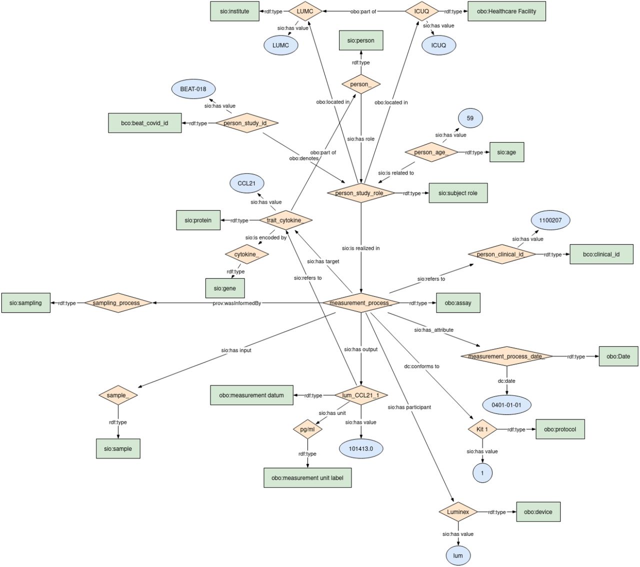 Ontological data model for the cytokine measurements patient dataset.