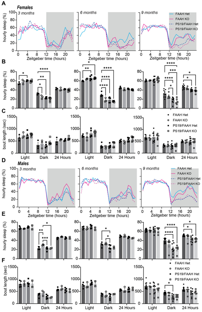 Loss of FAAH does not protect against sleep loss in PS19 mice; (A) 24 h trace of average hourly sleep of female FAAH+/− (blue line), FAAH−/− (pink line), FAAH+/−/PS19 (blue dashed line), and FAAH−/−/PS19 (pink dashed line) mice at 3, 6, and 9 months. Grey bars in sleep traces indicate dark phase. (B,C) Quantification of average hourly sleep (B) and sleep bout length in seconds (C). Data separated into 12hrs of dark and light phases; (D) 24 h trace of average hourly sleep of male FAAH+/− (blue line), FAAH−/− (pink line), FAAH+/−/PS19 (blue dashed line), and FAAH−/−/PS19 (pink dashed line) mice at 3, 6, and 9 months. (E,F) Quantification of average hourly sleep (E) and sleep bout length in seconds (F). Data separated into 12 h of dark and light phases. N = 5–17/age/sex/genotype. * p < 0.05, ** p < 0.01, *** p < 0.001, **** p < 0.0001. Two-way ANOVA with Šídák’s multiple comparisons test. Error bars indicate ± SEM.