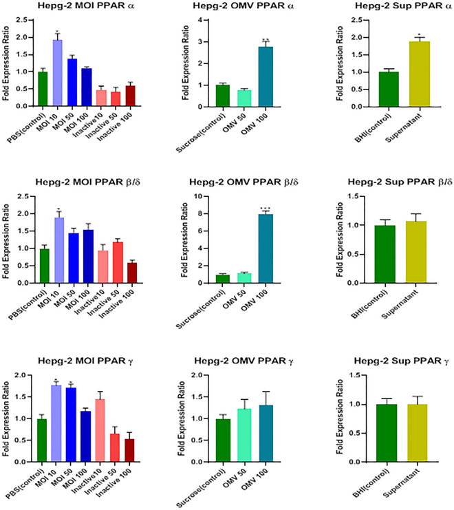Effects of active and inactive A.muciniphila (at MOIs of 10, 50, and 100), its derived OMVs (50 and 100 μg/mL) and 7% (v/v [medium/cell-free supernatant]) cell free supernatant on the expression of PPARS (α, β/δ, and ϒ) genes in HepG-2 cells. Significancy is evaluated in comparison with control. Data are shown as the mean ± SEM. (*) and (#) represent significant increase and decrease, respectively. *P < 0.05, **P < 0.01 and***P < 0.001 by one-way ANOVA and t-test statistical analysis. MOI: multiplicity of infection, OMV: outer membrane vesicle, Sup: supernatant.