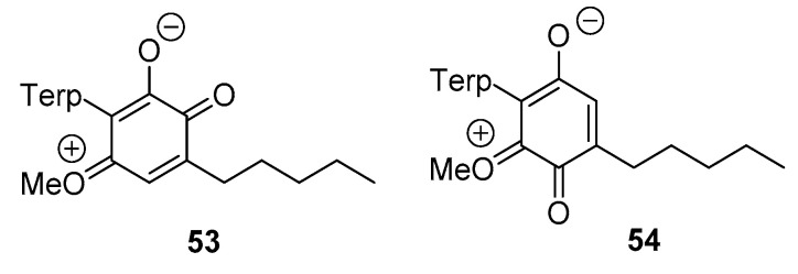 Structure of the zwitterionic resonance for O-methyl-ortho-cannabinoquinones (53) and O-methyl-para-cannabinoquinones (54).