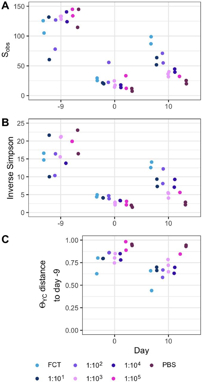 Diversity of murine gut bacterial community was not recovered at the time of C. difficile infection in cefoperazone-treated mice.Diversity changes through experiments with cefoperazone-treated mice. α-diversity, measured by (A) Sobs and (B) Inverse Simpson, prior to beginning antibiotic treatment (day −9), after fecal community transplant on the day of C. difficile infection (day 0) and at the end of the experiment (day 10). (C) β-diversity, measured by θYC, distance between community structures on day 0 or 10 compared to the community prior to antibiotic treatment (day −9) community of that individual. Data are grouped by the transplant received, undiluted fecal community (FCT), diluted fecal community (1:101-1:105), or PBS. Points are individual mice.