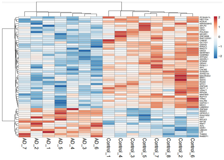Gene expression for the 58 genes is depicted in the heatmap plot where rows and columns indicate genes and samples, respectively. Upregulated and downregulated genes have been denoted by red and blue color codes. Color intensity specifies the level of up- or downregulated genes.