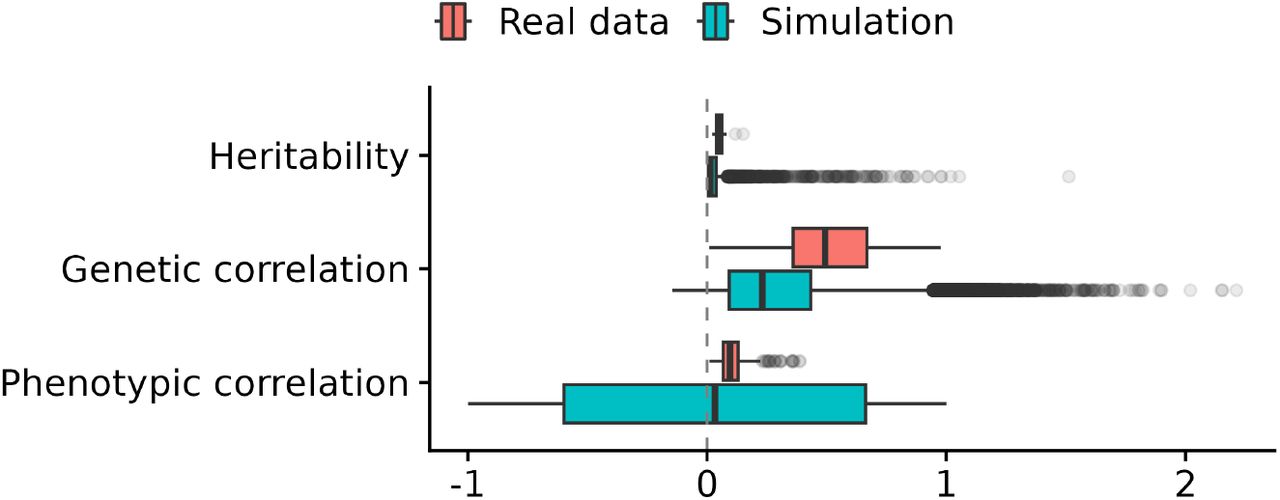 Distributions of heritability and correlation in real and simulated dataShown is a comparison between simulation and the 20 most common ICD-10 codes in the UK Biobank, in terms of heritability, genetic correlation, and phenotypic correlation. The simulated phenotypes were generated using PhenotypeSimulator with expected heritability 0.01, genetic correlation 0.5, and phenotypic correlation 0. These simulation parameters were chosen so that the resulting simulation is similar or more conservative than the real data shown.
