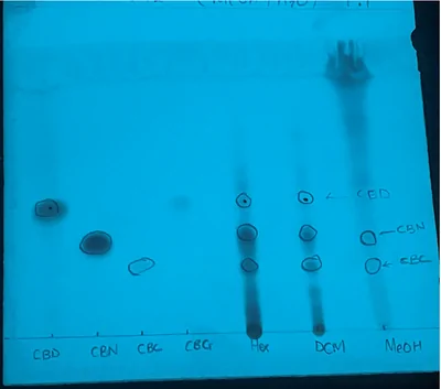 TLC analysis of hexane, dichloromethane, and methanol extracts showing the presence of CBD, CBN, and CBC.