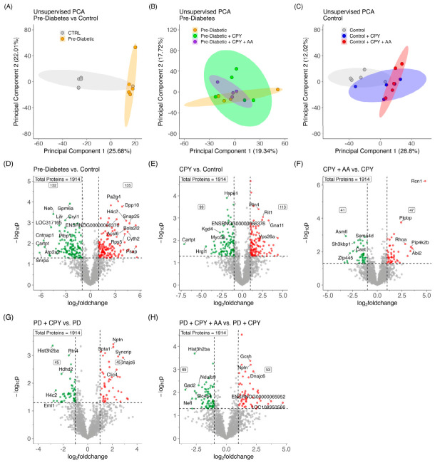Unsupervised principal component analysis (PCA) plot of the entire hippocampal proteome for (A) CTRL vs. Pre-diabetes, (B) Pre-diabetic cohort comparison, and (C) Non-diabetic cohort comparison. Volcano plots displaying the significantly altered proteins in (D) Pre-diabetes vs. control (PD vs. CTRL), (E) chlorpyrifos exposure vs. control (CPY vs. CTRL), (F) AA-treated chlorpyrifos-exposed vs. control (CPY + AA vs. CTRL), (G) chlorpyrifos-exposed pre-diabetes vs. pre-diabetes (PD + CPY vs. PD), and (H) chlorpyrifos-exposed and AA-supplemented pre-diabetes vs. pre-diabetes (PD + CPY + AA vs. PD).