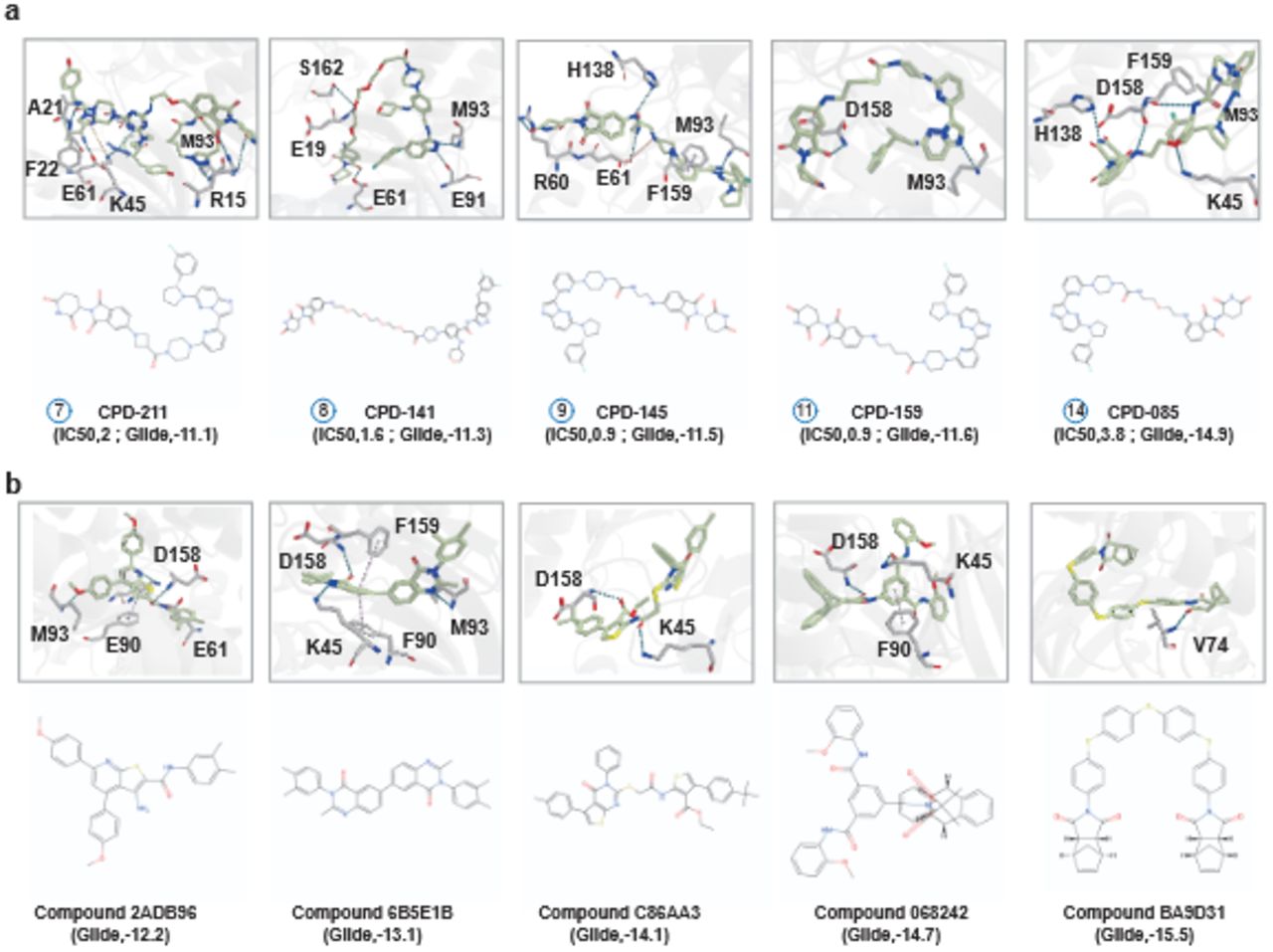 (a) Docking poses of known NTRK3 kinase inhibitors. This panel supplements Figure 6d by presenting additional inhibitors not included in the main figure. Corresponding 2D structures are displayed below. (b) Docking poses of high-affinity SPECS hits for NTRK3 kinase. Corresponding 2D structures are displayed below. Hydrophobic interactions are omitted for clarity.