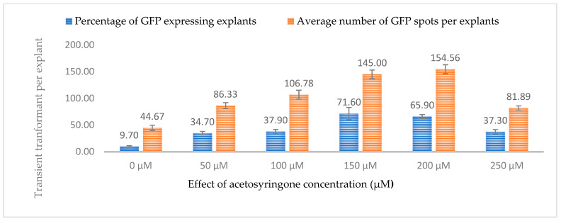 Influence of acetosyringone concentrations (µM) on transient GFP expression. Infection frequency was calculated as the percentage of GFP-positive explants from 3-week-old leaves out of the total number of explants examined. The number of GFP foci per explant is the average number of GFP-positive foci in at least three independent explants. The data are represented as means ± standard error (SE). To optimize the individual parameter, each experiment contained 25 to 30 samples and each experiment had 3 replications (n = 75).