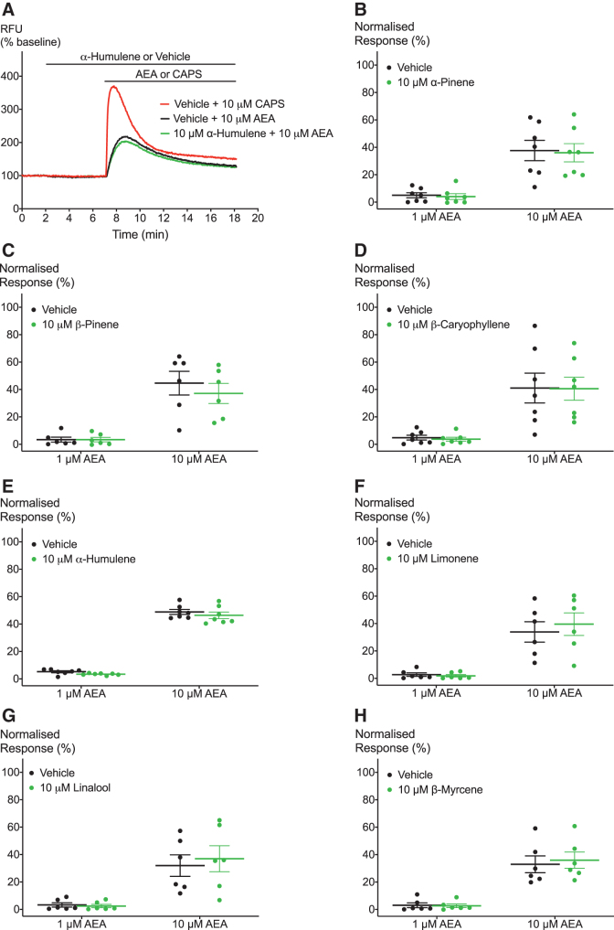 Effects of terpenoids on hTRPV1 activation by AEA. (A) Representative trace of effects of 10 μM α-humulene on hTRPV1 activation by 10 μM AEA. (B–H) Application of terpenoids does not lead to significant change in hTRPV1 activation by AEA at two submaximal concentrations. Two-way ANOVA with Bonferroni's post hoc analysis. N=5–7, mean±SEM. Data presented as % of maximum CAPS (10 μM) response. Drugs were added for the duration of the bar.
