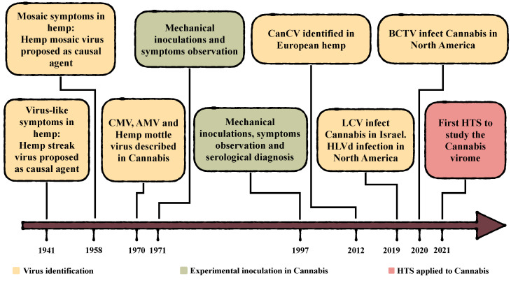 Chronology of major reports of virus-like cannabis diseases and viruses/viroid infecting C. sativa.
