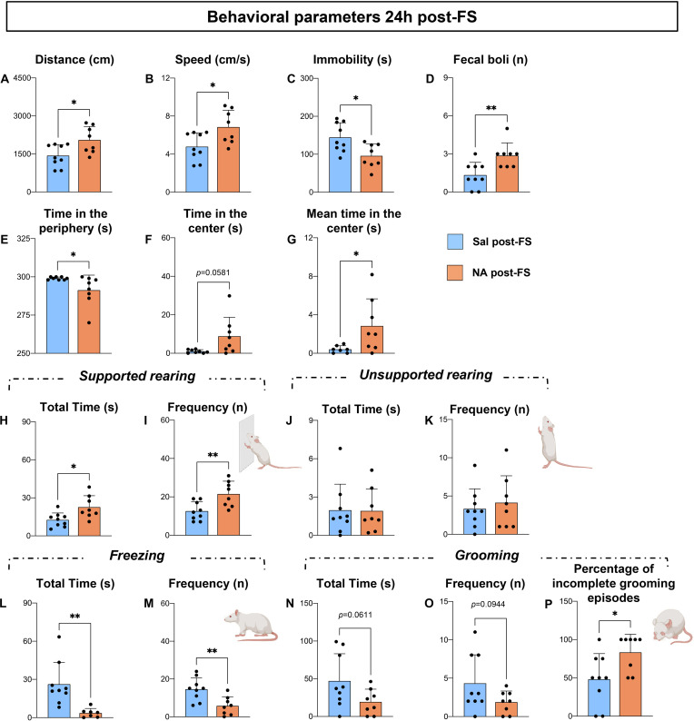 Bar graphs comparing several behavioral parameters obtained in the open field test in mice 24hours after forced swim (FS), with blue bars for Sal post-FS and orange bars for NA post-FS. Parameters include distance traveled, speed, immobility, fecal boli count, time incenter and periphery, supported and unsupported rearing, freezing, grooming, andpercentage of incomplete grooming episodes. Significant differences are indicated byasterisks or p-values, and individual data points with error bars are shown for each group.Small illustrations of mice are placed near relevant behavioral categories.