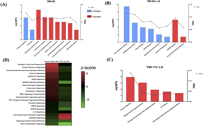 Bar graph shows signaling pathways dysregulated in the retina in response to blast overpressure plus head concussion under different dietary conditions. (A) TBI and house chow diet (B) TBI and 8 en% LA diet, and (C) TBI and 1 en% LA diet (pv < 0.05 and |z-score| > 1.5), with the x-axis representing the signaling pathway and the y-axis representing the -log10 p-value. The ratio indicates the percentage of DEGs detected in that particular pathway under the influence of TBI and dietary conditions. Molecular networks with z-scores greater than 1.5 were considered activated (red), while those with z-scores lower than −1.5 were designated as inhibited (blue) pathways. (D) The heatmap displays the pathways that are commonly enriched between DHA-rich (House chow) and -deficient (8 en% LA) diet (pv < 0.05). The red/green color stands for the activated/inhibited pathways as compared to respective shams.