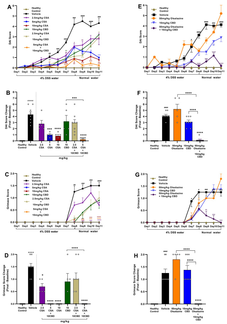 Combination therapy with CBD and CSA or olsalazine alleviates colitis severity and visceral pain. (A,E) Time-course of DAI scores during DSS and recovery phases for CSA and olsalazine studies, respectively. (B,F) Final change in DAI score from baseline at Day 11. (C,G) Time-course of mouse grimace scores during DSS and recovery phases. (D,H) Final change in grimace scores from baseline at Day 11. Data are expressed as mean ± SEM. Statistical significance: # p < 0.05, ## p < 0.01, ### p < 0.001, #### p < 0.0001 vs. healthy control; * p < 0.05, ** p < 0.01, *** p < 0.001, **** p < 0.0001 vs. vehicle.