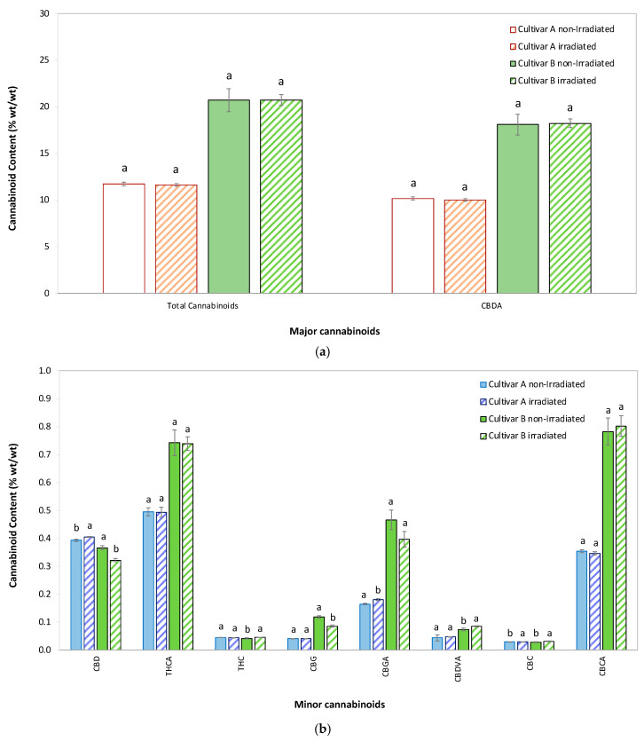Mean ± SD of total and individual cannabinoid content in hemp flowers of cultivar A and cultivar B. (a) Comparison of major (>1% wt/wt) and (b) minor (0.01–1% wt/wt) cannabinoids after EB irradiation versus non-irradiated controls. CBC, cannabichromene; CBCA, cannabichromene acid; CBD, cannabidiol; CBDA, cannabidiolic acid; CBDVA, cannabidivarinic acid; CBG, cannabigerol; CBGA, cannabigerolic acid; EB, electron beam; SD, standard deviation; THC, Δ9-tetrahydrocannabinol; THCA, Δ9-tetrahydrocannabinolic acid. For each cannabinoid, identical lowercase letters above paired bars indicate no statistically significant difference between EB-irradiated and control samples (p > 0.05) (n = 3 biological replicates). Statistical analysis: One-way ANOVA (Welch’s test) followed by post hoc testing with Tukey’s HSD (for equal variances) to maximize sensitivity or Games-Howell (for unequal variances), based on Levene’s test results.