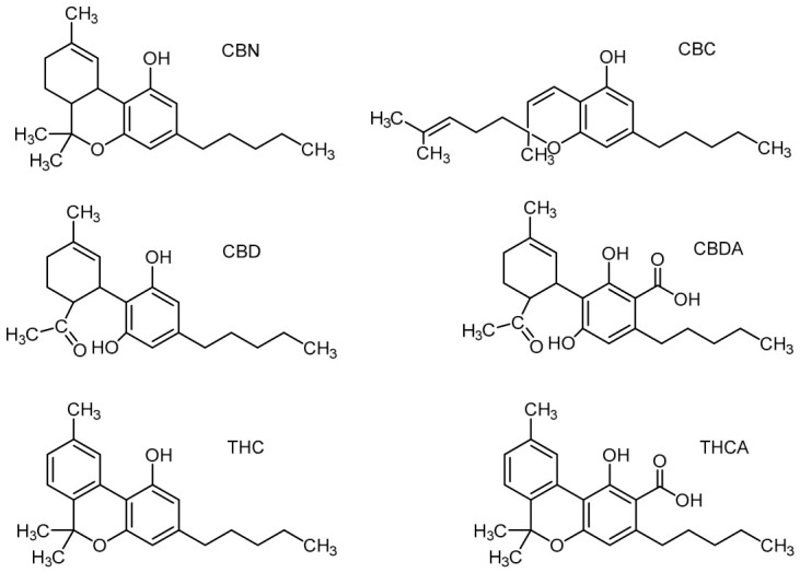 Chemical structures of cannabinoids found in Cannabis sativa L. Abbreviations: CBN—cannabinol, CBD—cannabidiol, THC—Δ9-tetrahydrocannabinol, CBC—cannabichromen, CBDA—cannabidiolic acid, THCA—Δ9-tetrahydrocannabinolic acid.