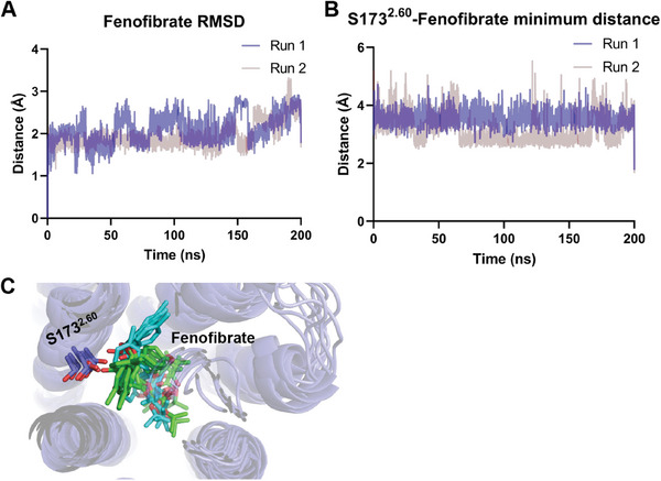 MD simulations of CB1 with fenofibrate. A) RMSD over times of fenofibrate in fenofibrate‐bound CB1 system. B) The minimum distances of heavy atoms between fenofibrate and the side chain of S1732.60. C) Snapshots alignments from evenly sampling of 40 ns interval of two parallel MD simulations (Run 1 with green ligand; Run 2 with cyan ligand).