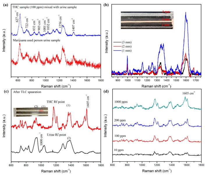 (a) SERS spectra of THC-spiked (100 ppm) urine, and marijuana-user’s urine samples measured from the diatomaceous SERS substrates. (b) TLC-SERS spectra of THC (500 ppm) from diatomaceous earth TLC plates with 1, 2, and 3-mm channel widths (inset figure shows TLC channels). (c) TLC-SERS spectra of THC and urea from THC-spiked urine sample, and (d) TLC-SERS spectra of THC from various concentrations of THC-spiked urine samples.