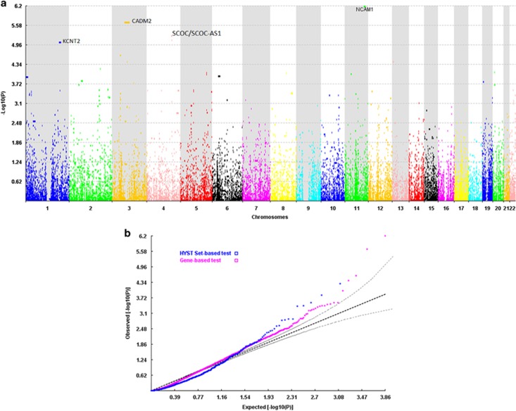 The Manhattan (a) and the QQ plot (b) based on results of the gene-based analysis performed in the discovery sample using HYST (hybrid set-based test).