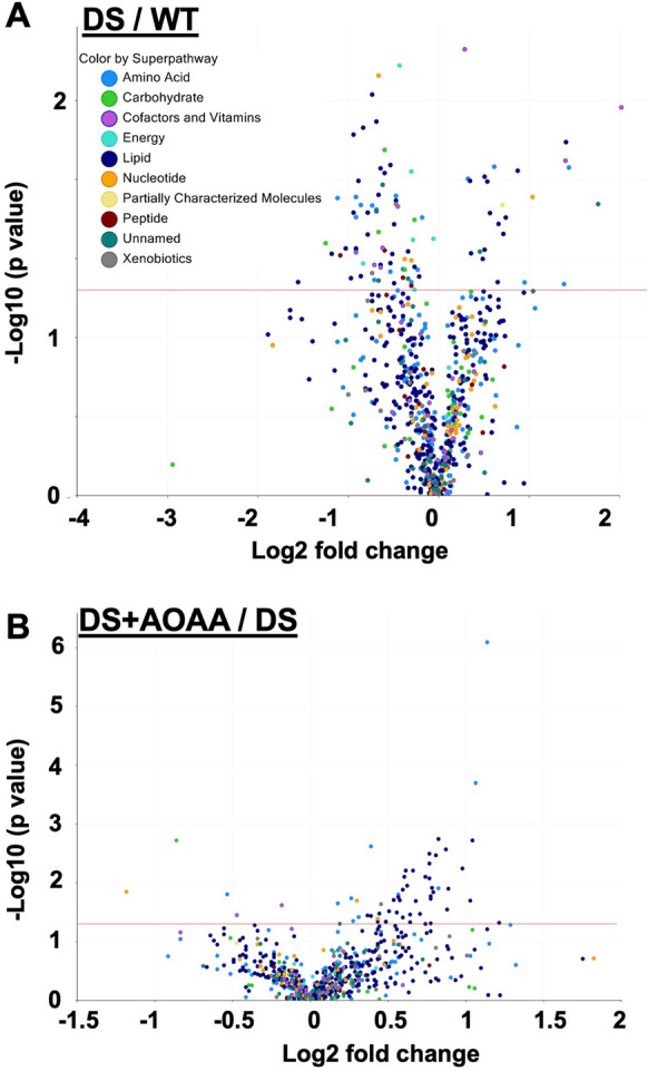 Volcano plots showing differences in various analytes measured by untargeted metabolomic analysis between A DS vs. wild-type mouse brains or B AOAA-treated DS mice vs. DS mice brains