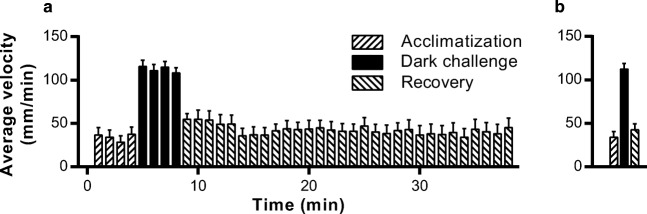 Behavior of zebrafish larvae assayed using the VMR test. a Average swimming velocities of vehicle-treated larvae per 1-min interval. In the first 4 min, the larvae acclimatize, with the lights on (“Acclimatization”). This period is followed by a 4-min dark challenge, which is associated with increased locomotor activity, reflecting anxiety-like behavior (“Dark challenge”). In the final phase, the fish are allowed to recover for 30 min with the lights on again (“Recovery”). b The average velocities from each phase were determined, and these average values are presented in a bar graph. This type of graph is used also in Figs. 2, 3, 4, 5, 6, 7 and 8. Data shown are means ± SEM