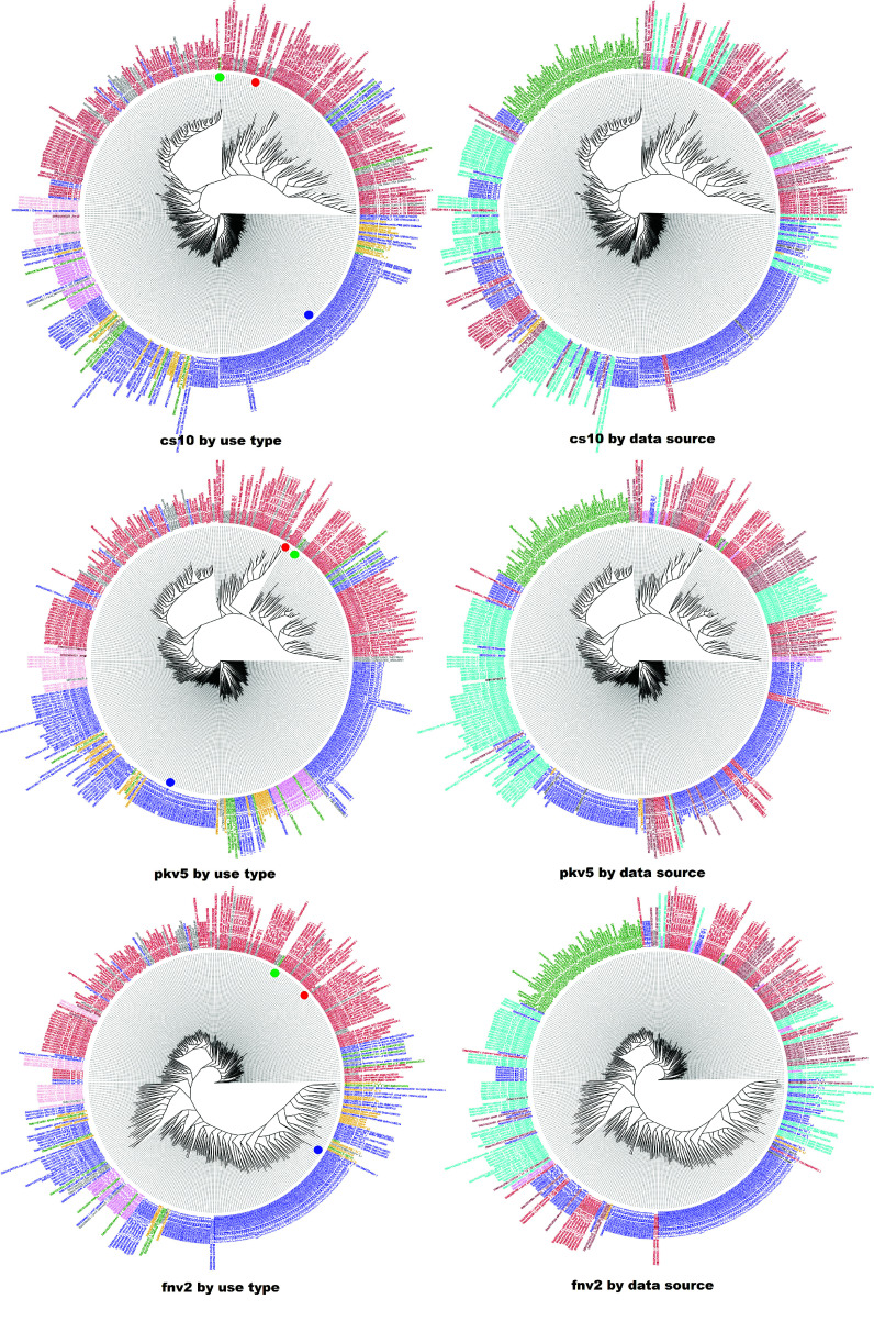 Phylogenetic tree colored by (left) type and (right) dataset, using three references (row1) cs10, (row2) PK, (row3) FN. The trees on the left are colored by use type (red: drug, blue: hemp). Dots indicate the reference genomes (green: cs10, red: PK, blue: FN). On the right, they are colored by data source (brown: McKernan 2020, red: Lynch 2016, blue: Woods 2022, green: Kannapedia, cyan: Ren 2021, orange: assembly projects). The trees are constructed by FastTreeMP using the WGS7DS dataset and the cs10, pkv5 and fnv2 references.