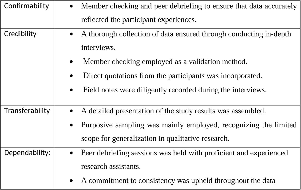 Trustworthiness strategies for qualitative data