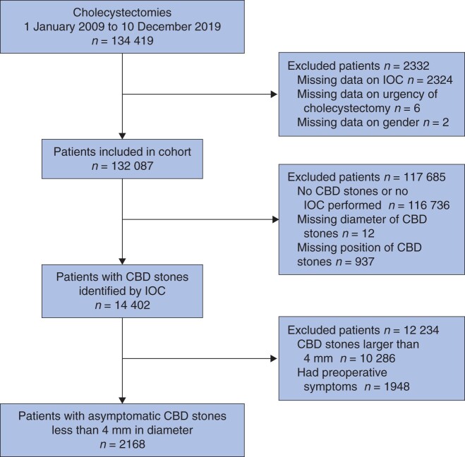 Cohort inclusion diagramIOC, intraoperative cholangiography; CBD, common bile duct.