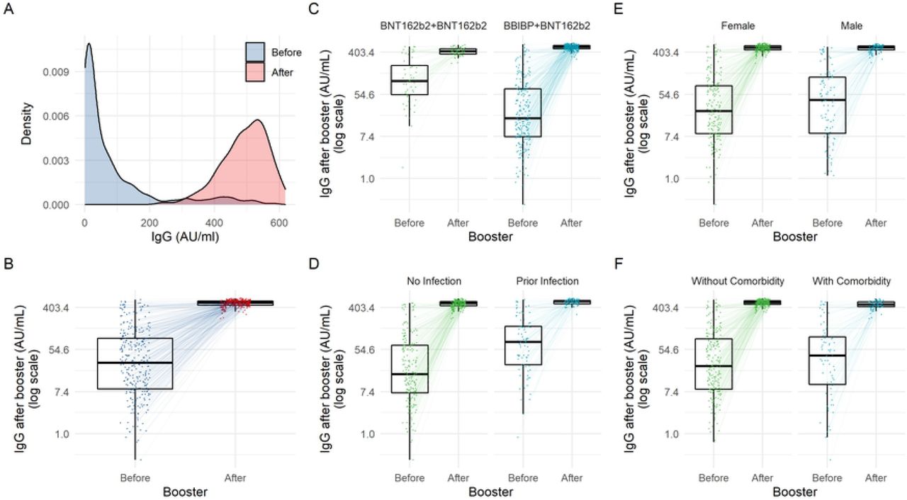 A) Density chart showing IgG levels (AU/ml) before and after vaccine booster for the entire sample. B-F) Spaghetti and box plots showing IgG levels (AU/ml) before and after vaccine booster for the entire sample (B), and categorized by vaccine combination (C), by prior COVID-19 infection (D), by sex (E), and by presence of comorbidities (F).
