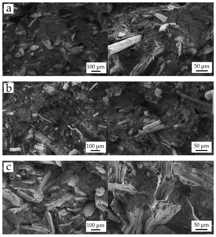Field emission scanning electron microscopy (FESEM) images at 100× (left) and 250× (right) of the fracture surfaces of the different BioHDPE composites: (a) BioHDPE/Hemp/PE-g-MA; (b) BioHDPE/Flax/PE-g-MA and (c) BioHDPE/Jute/PE-g-MA.