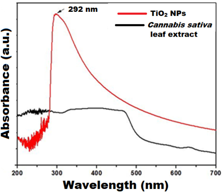 UV-vis spectra of cannabis sativa leaf extract and synthesized CS-TiO2 NPs.