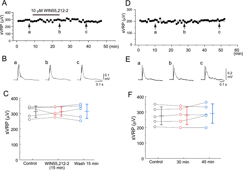 Typical example of the effect of WIN55,212-2 and time control on the slow ventral root potential (sVRP) in newborn rat spinal cord preparations. A Time course of changes in the peak amplitude of the sVRP in response to the application of 10 µM WIN55,212-2. B Examples of the reflex response in control (a), at 15 min after the administration of WIN55,212-2 (b), and after 15 min of washout (c). a–c correspond to a-c in panel A. C Data plots of the sVRP amplitude from 5 preparations at control (black), 15 min application of WIN55,212-2 (red), and 15 min after washout (blue). Bars on the right side of the individual datasets denote the mean ± S.D. The average values of the sVRP amplitude did not change significantly. D Time course of the changes in the peak amplitude of sVRP without drug application. E Examples of the reflex response. a-c correspond to a-c in panel A. F Data plots of the sVRP amplitude from 5 preparations at control (black), 30 min after control data acquisition (red), and 45 min after control data acquisition (blue). Bars on the right side of the individual datasets denote the mean ± S.D. The average values of the sVRP amplitude did not change significantly