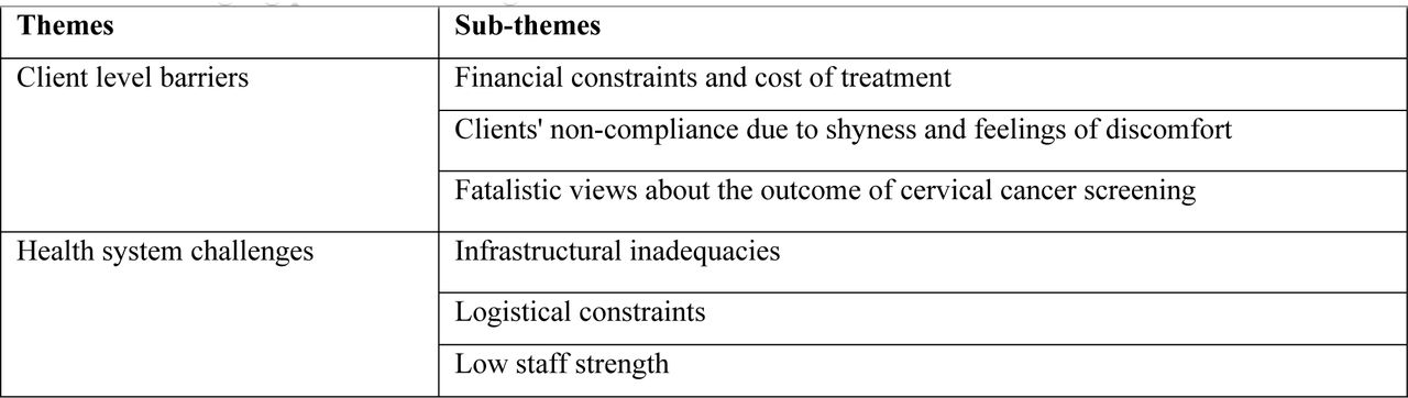 Emerging practice setting relevant themes from healthcare worker interviews