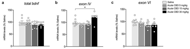 Effects of acute CBD exposure on Bdnf gene expression levels in the mPFC. Rats were treated with a single injection of CBD 5 mg/kg, 15 mg/kg, or 30 mg/kg, and killed one hour after the treatment. Total Bdnf (a), Bdnf exon IV (b), and Bdnf exon VI (c) mRNA levels in mPFC are expressed as percentages of saline-treated rats. Bar graphs represent the mean ± SEM from eight independent determinations for each experimental group. Ordinary one-way ANOVA followed by Tukey’s multiple comparisons test, or Kruskal−Wallis one-way ANOVA for ranks followed by Dunn’s multiple comparisons test for non-normally distributed data. * p < 0.01 vs. saline-treated rats. Saline n = 8 CBD 5 mg/kg n = 8 CBD 15 mg/kg n = 8, CBD 30 mg/kg n = 7.