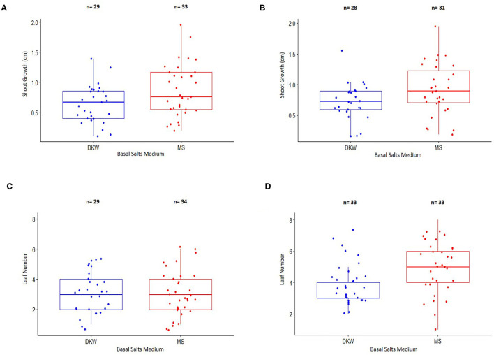 Comparison of shoot growth and leaf number from nodal stem explants of two cannabis genotypes placed on a basal salt medium containing either Driver and Kuniyuki Walnut (DKW) or Murashige and Skoog (MS) salts. (A) Shoot length of genotype Copenhagen Kush (CPH). (B) Shoot length of genotype Pennywise (PWE). (C) Leaf number of genotype Copenhagen Kush (CPH). (D) Leaf numbers of genotype Pennywise (PWE). The box of each dataset represents the interquartile range (IQR), which contains the third quartile (Q3–top side of the box), the median value of all of the data (the middle line), and the first quartile (Q1–bottom side of the box). The bars represent the maximum (Q3 + 1.5*IQR) and minimum (Q1–1.5*IQR) of the data. The numbers (n) above the bars depict explant numbers used.