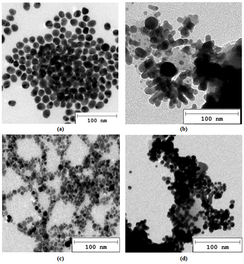 TEM microphotographs (a) Au nanoparticles; (b) Au/PVP nanoparticles; (c) Pt nanoparticles; (d) Pt/PVP nanoparticles.