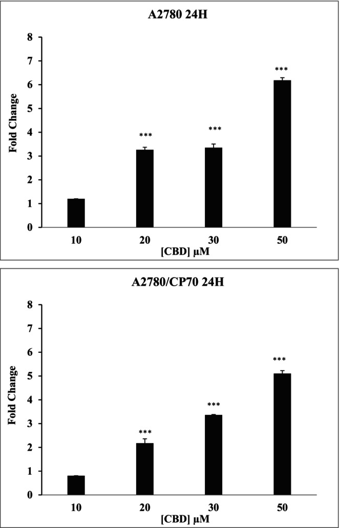Representative data showing the fold change in caspase 3/7 activity of A2780 and A2780/CP70 when treated with CBD at different concentrations. Data represent mean ± SE of mean of n = 3. ***p < .001 compared to control values.