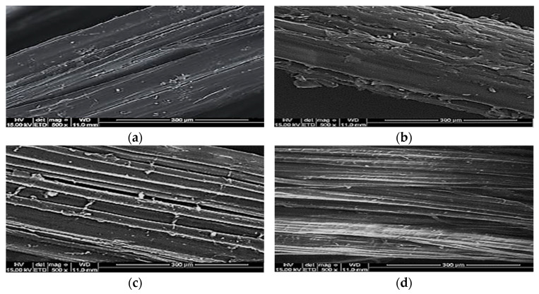 SEM micrograph of lignocellulosic plant fibers. (a) kenaf fiber; (b) hemp fiber; (c) ramie fiber; (d) jute fiber.