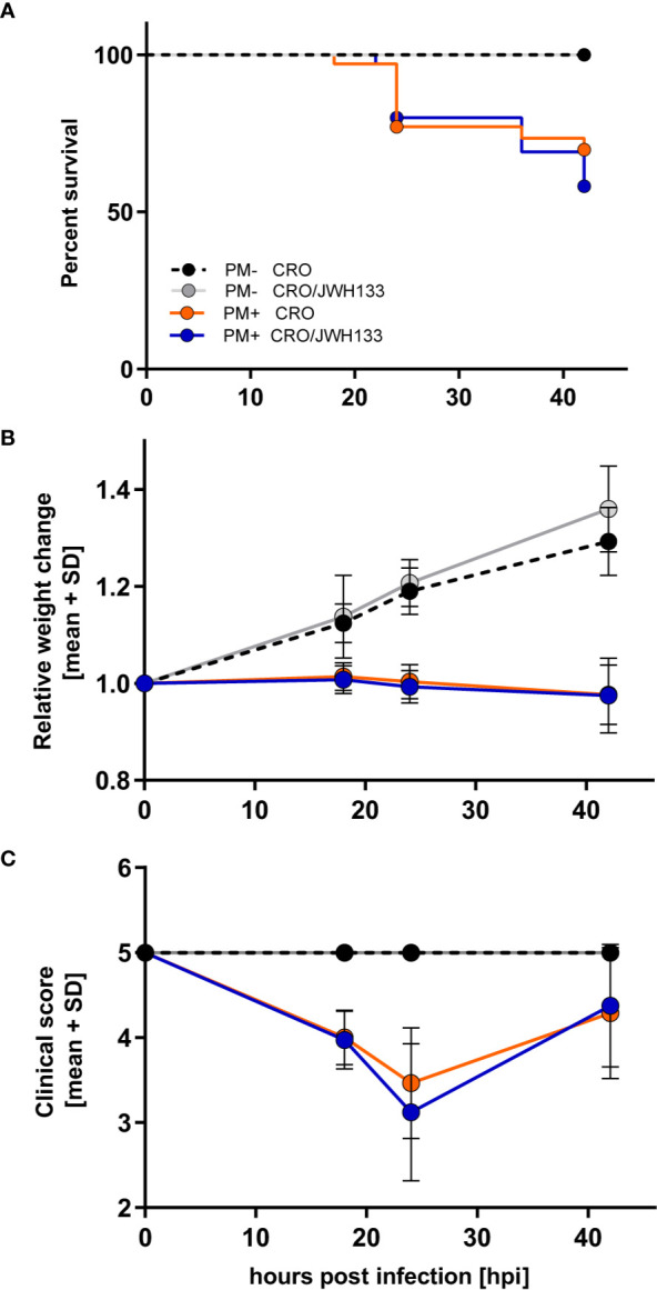 Survival and time-course of clinical parameters during experimental pneumococcal meningitis. No differences could be observed in survival (A), relative weight changes (B) or clinical score (C) between animals treated with ceftriaxone (CRO) or ceftriaxone combined to adjuvant JWH-133 (CRO/JWH133), neither in uninfected (PM-) nor infected (PM+) animals (PM- CRO and PM- CRO/JHW-133, n = 7; PM+ CRO and PM+ CRO/JWH133, n = 19–35, depending on the time points).