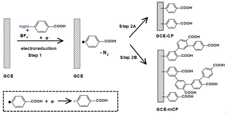 Electrochemical grafting of 4-carboxydiazonium salt. GCE—glassy carbon electrode, CP—carboxyphenyl, mCP—multilayer carboxyphenyl. Insert—reduction of aryl radical to aryl anion.