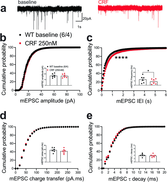 CRF decreased presynaptic glutamate release in the LHb of WT mice.a Sample AMPAR-mediated mEPSC traces from WT mouse before (black) and after CRF application (red, 250 nM) (calibration bars: 20 pA/1 s). Average bar graphs of mEPSC and cumulative probability plots of (b) amplitude, (c) frequency (inter-event interval), (d) charge transfer and (e) τ decay for all mEPSCs in WT mice before (black filled symbols) and after CRF (red filled symbols) (n = 6 cells from 4 mice). Two-tailed paired Student’s t-tests and Kolmogorov-Smirnov tests, *p < 0.05, ****p < 0.0001.