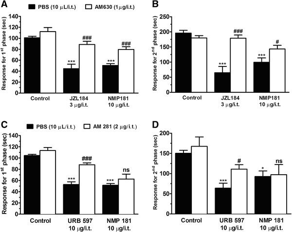 Effect of i.t. treatment with selective CB2 (A, B) or CB1 (C, D) receptor antagonists on the antinociceptive action of NMP-181 on first (A, C) and second (B, D) phases of formalin-induced pain in mice. Each bar represents the mean responses from 6–8 animals and the error bars indicate the S.E.M. Control values (indicated by “C”) are from animals injected with 5% of DMSO in PBS and the asterisks denote the significance relative to the control group. *P<0.05; ***P<0.001 and #P<0.05; ###P<0.001 when compared to NMP-181 alone or positive controls treated groups (two-way ANOVA followed by Tukey’s test).