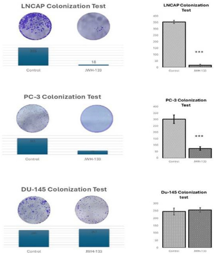 JWH-133 decreases colony formation in LNCaP and PC-3 prostate cancer cell lines. Colonies were stained with crystal violet. Data are expressed as mean ± SD, n = 3, *** p < 0.001.
